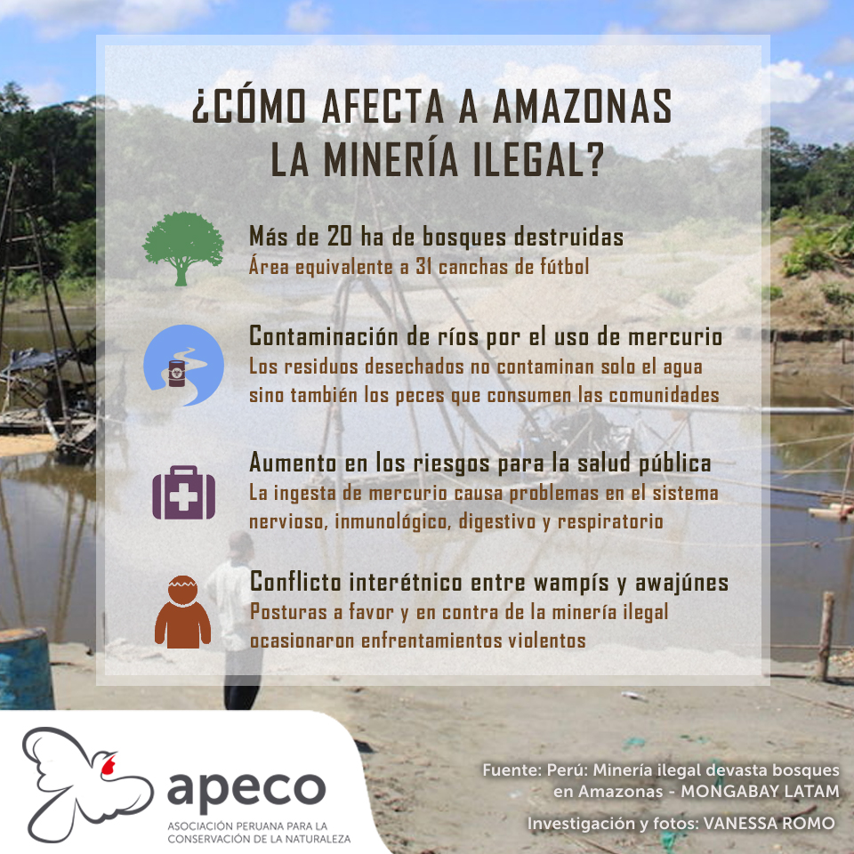 1. Infografia Amazonas