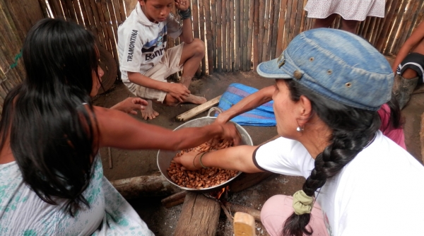 Comunidades nativas aprenden a preparar chocolate artesanal