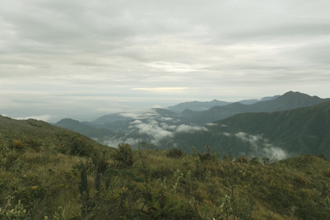 Apeco sigue trabajando por la conservación en la Cordillera de Colán