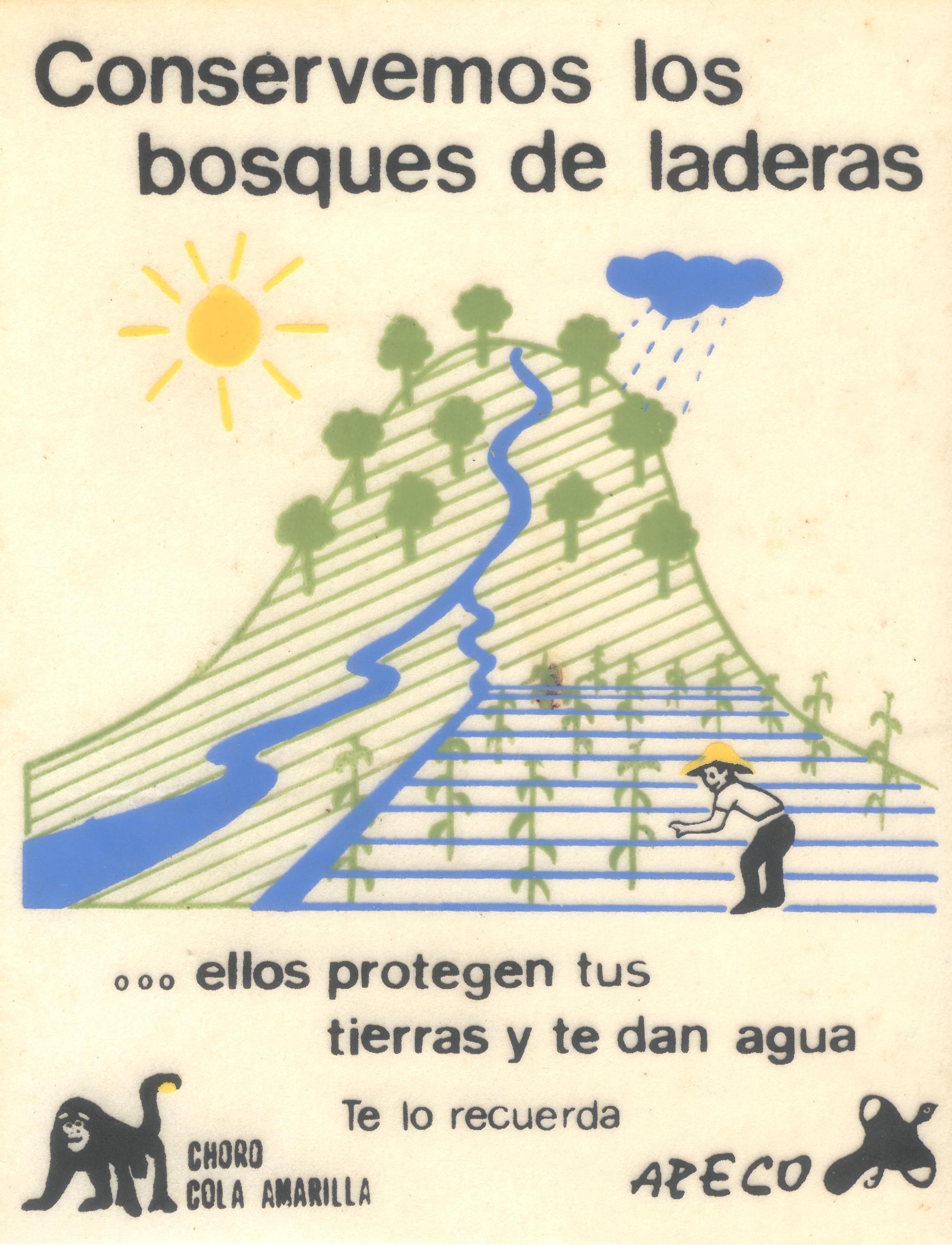 Calcomanía agua 