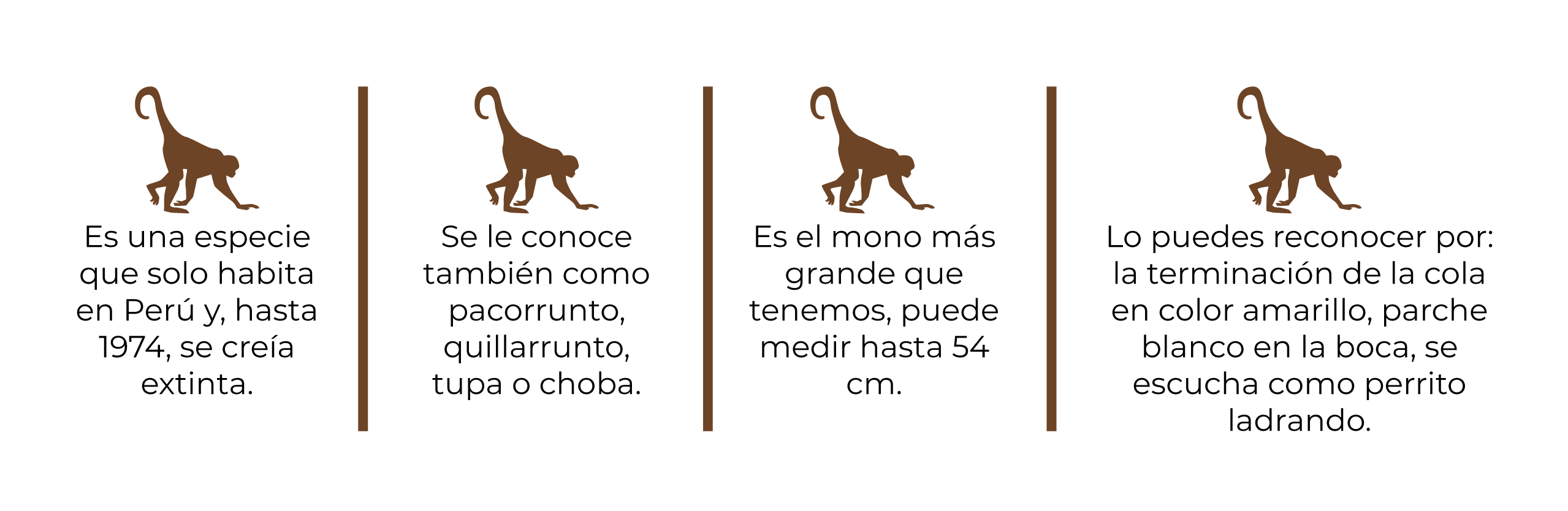 Características