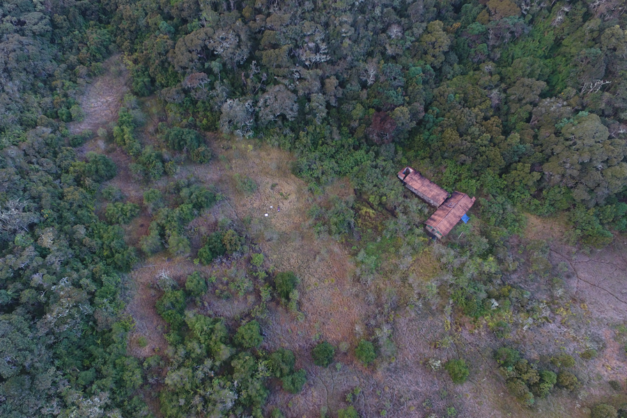 DJI 0234