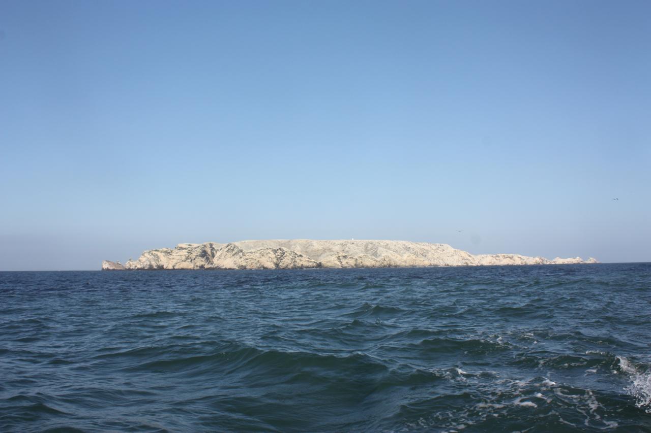 FOTO OCEANO