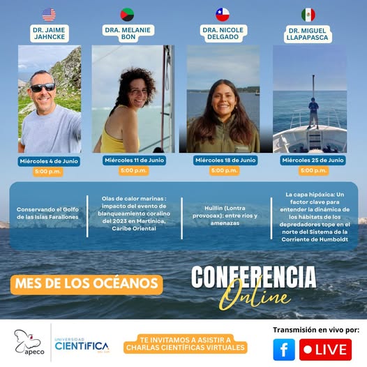 PONENCIAS 2025