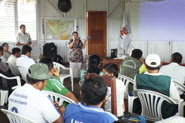 Taller Purus2