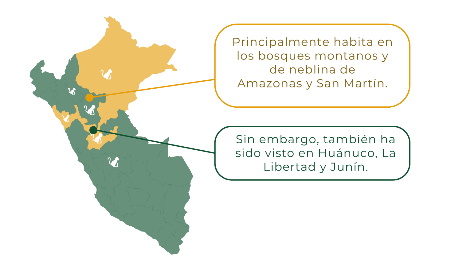 Ubicación