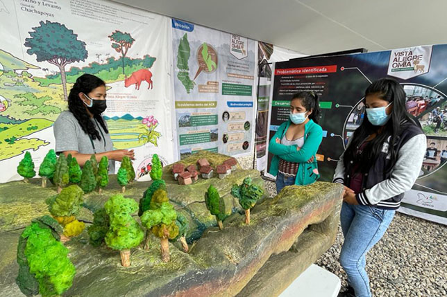 web expoamazonica2