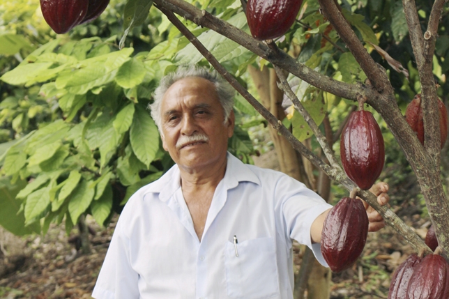 Apeco y comunidades nativas conservan y difunden cacao nativo