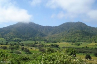 ORGANIZACIONES DE LA SOCIEDAD CIVIL PIDEN A PRESIDENTE HUMALA OBSERVE LEY QUE RECORTA EL PARQUE NACIONAL CERROS DE AMOTAPE