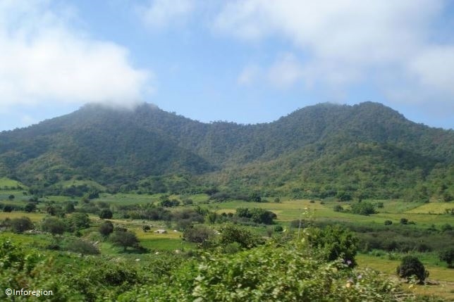 ORGANIZACIONES DE LA SOCIEDAD CIVIL PIDEN A PRESIDENTE HUMALA OBSERVE LEY QUE RECORTA EL PARQUE NACIONAL CERROS DE AMOTAPE