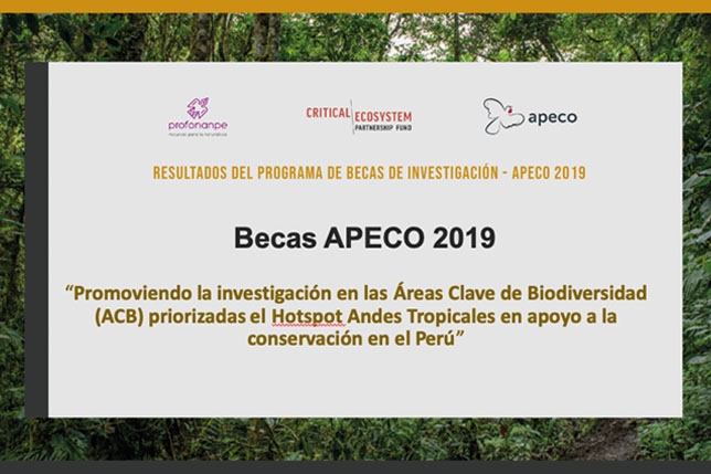 Becarios de Apeco presentan resultados de sus investigaciones