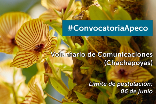 Convocatoria de voluntariado en Comunicaciones