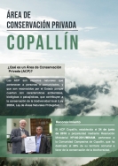 ACP Copallín y el Mereseh Copallín - Cajaruro