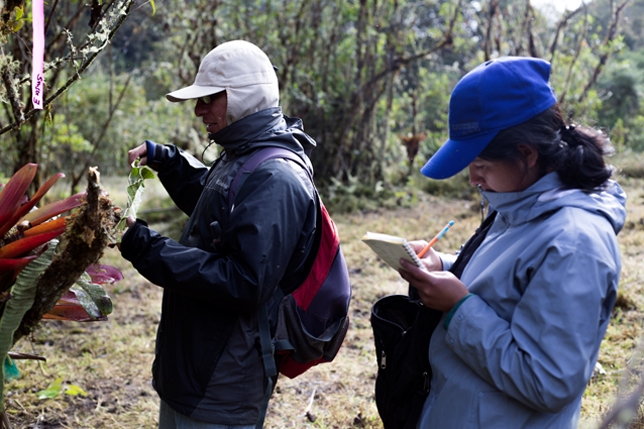 Apeco financiará 8 becas de investigación