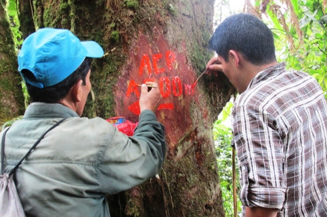 INICIA DELIMITACIÓN DEL ÁREA DE CONSERVACIÓN PRIVADA COPALLÍN