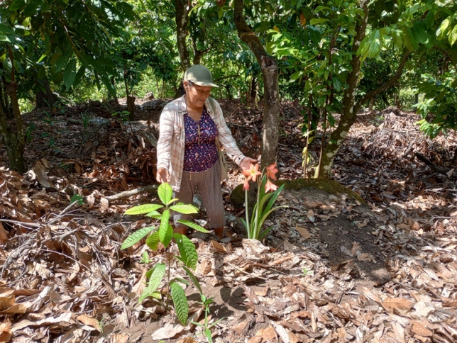 LAS EXITOSAS: MUJERES QUE PROTEGEN Y TRANSFORMAN SU TERRITORIO EN COPALL&Iacute;N