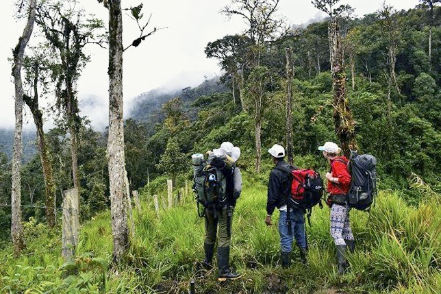 Detectan amenazas en la conservación del ACP Copallín